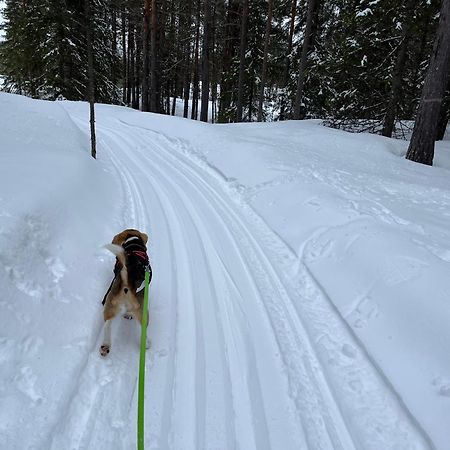 Knappgarden Särna Esterno foto