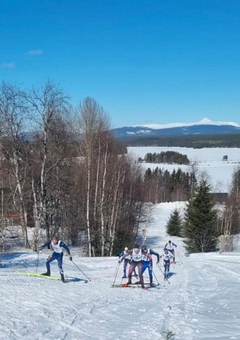 Knappgarden Särna Esterno foto