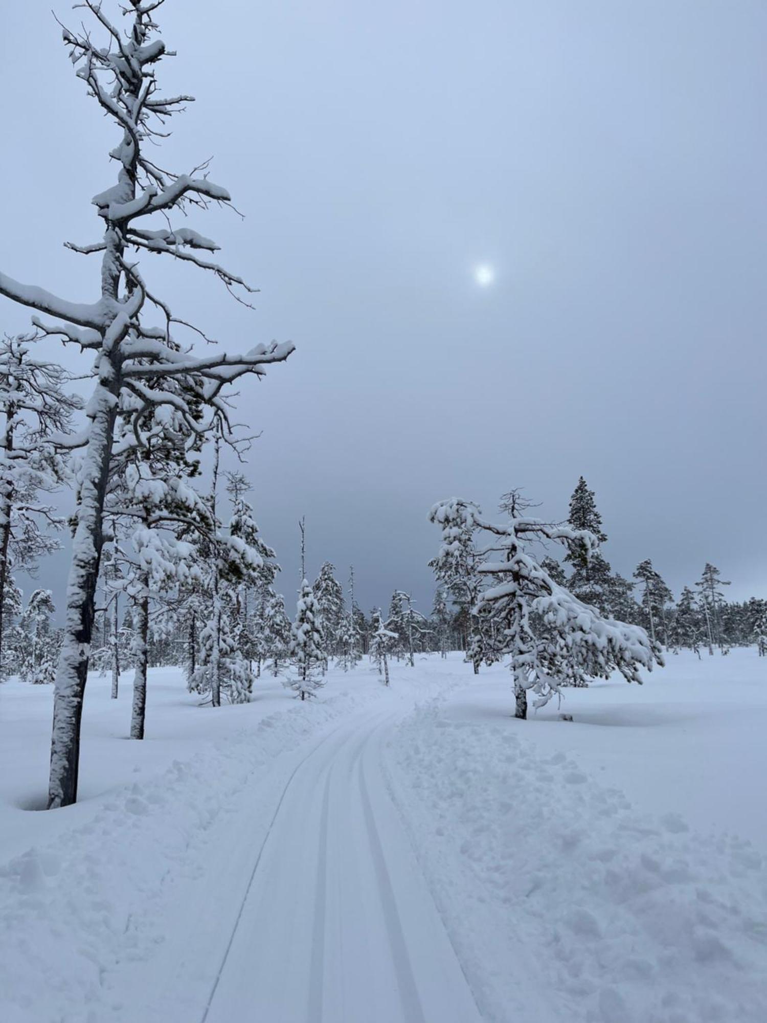 Knappgarden Särna Esterno foto