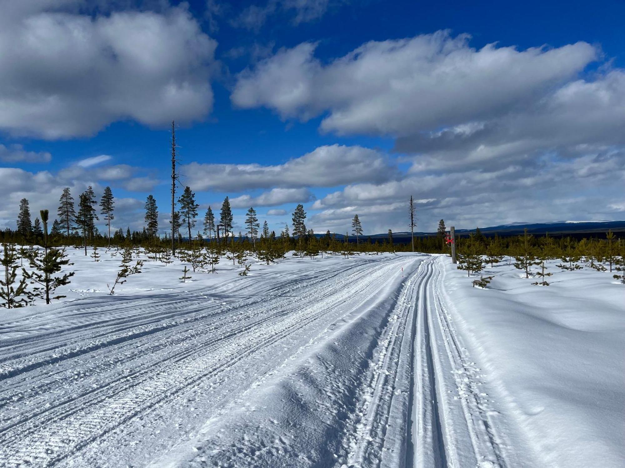 Knappgarden Särna Esterno foto