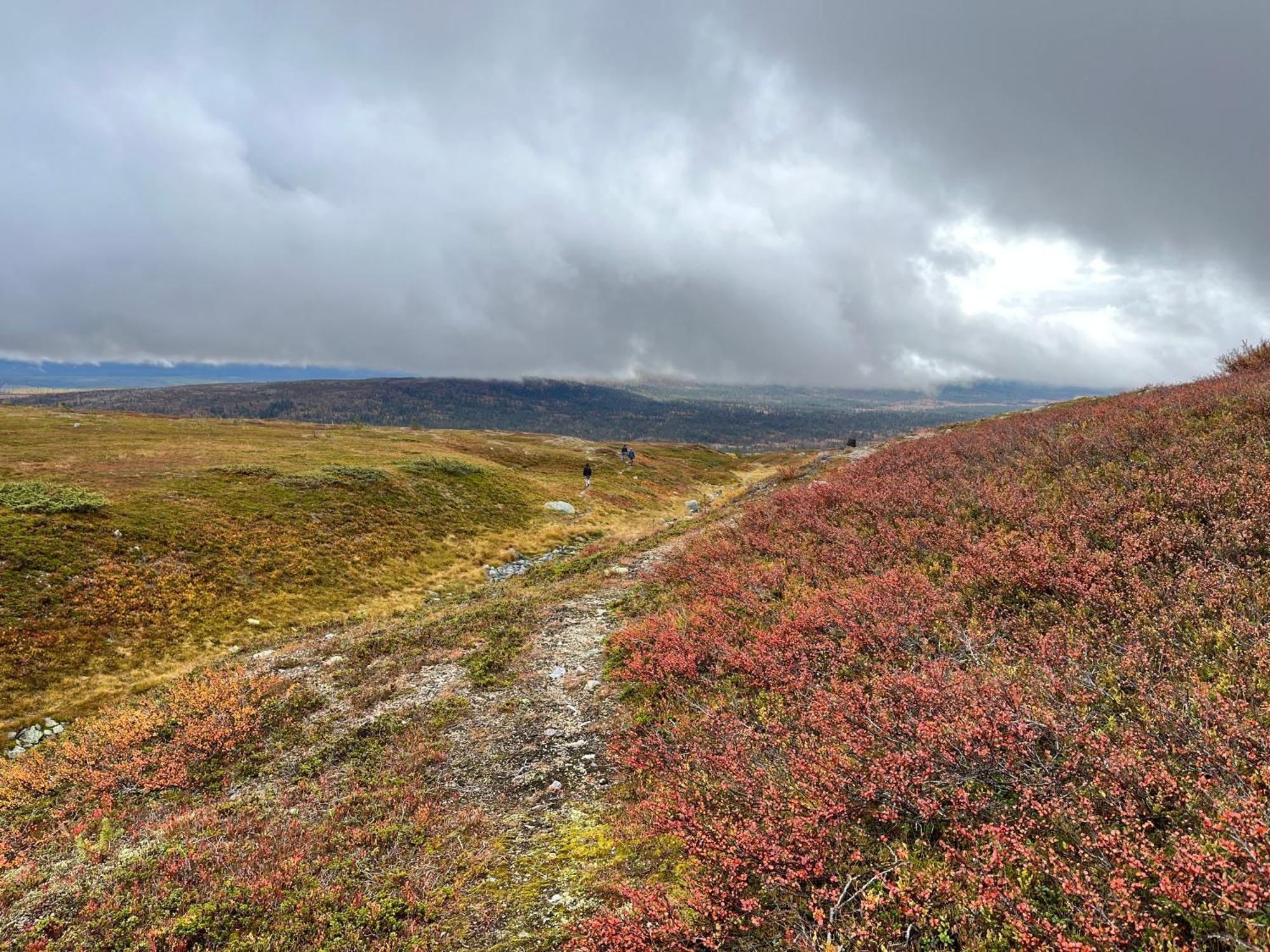 Knappgarden Särna Esterno foto