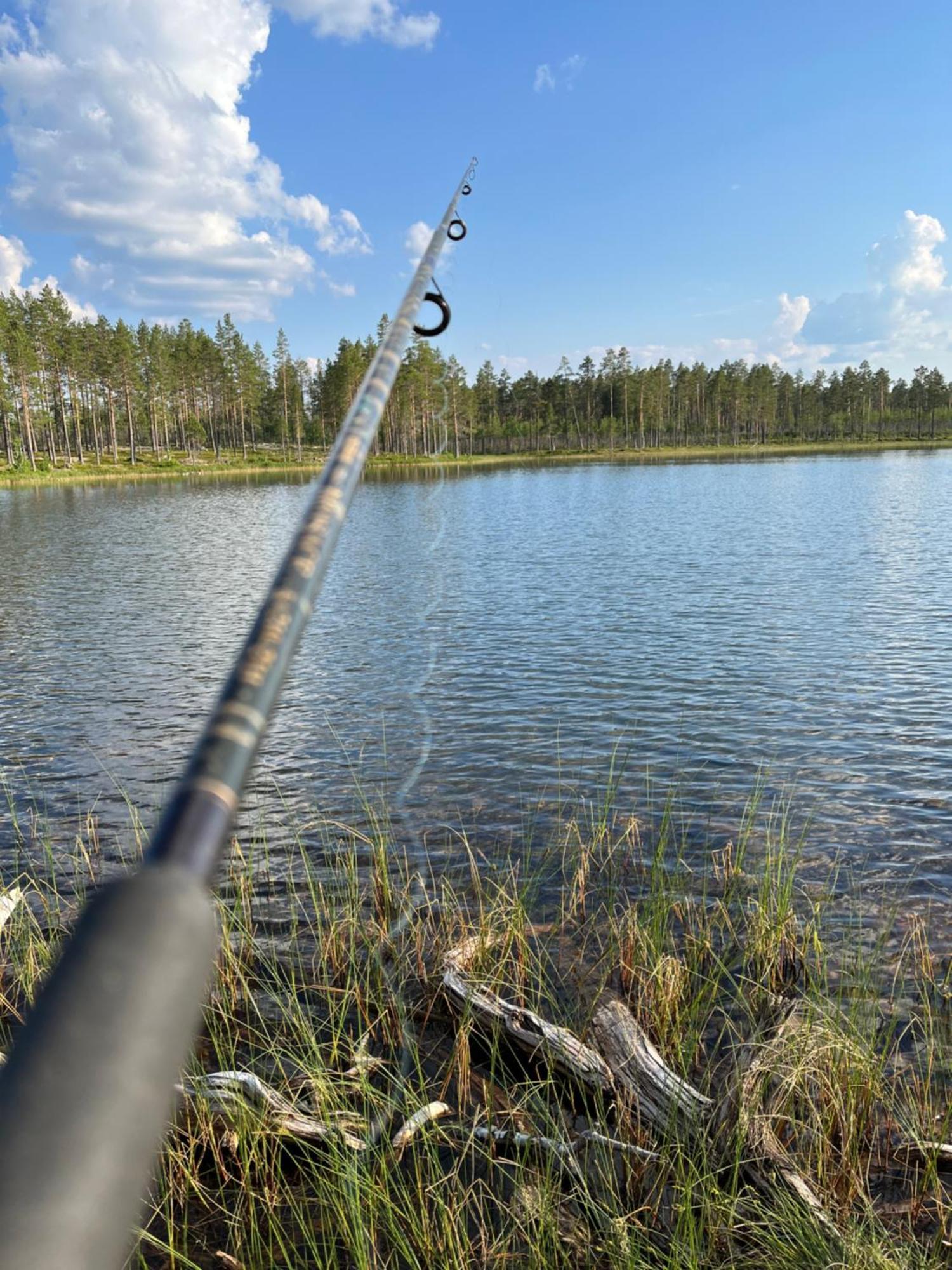 Knappgarden Särna Esterno foto