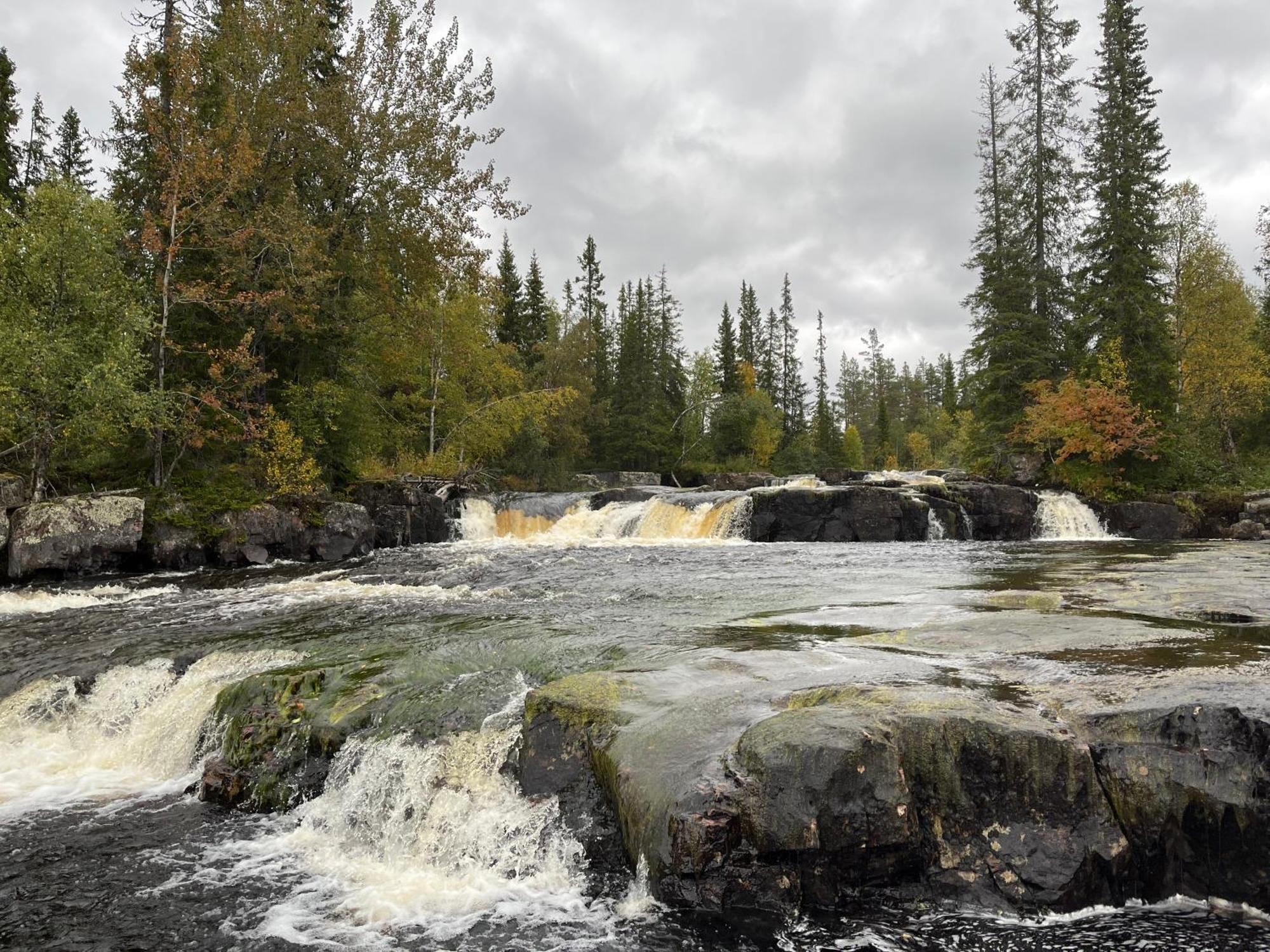 Knappgarden Särna Esterno foto