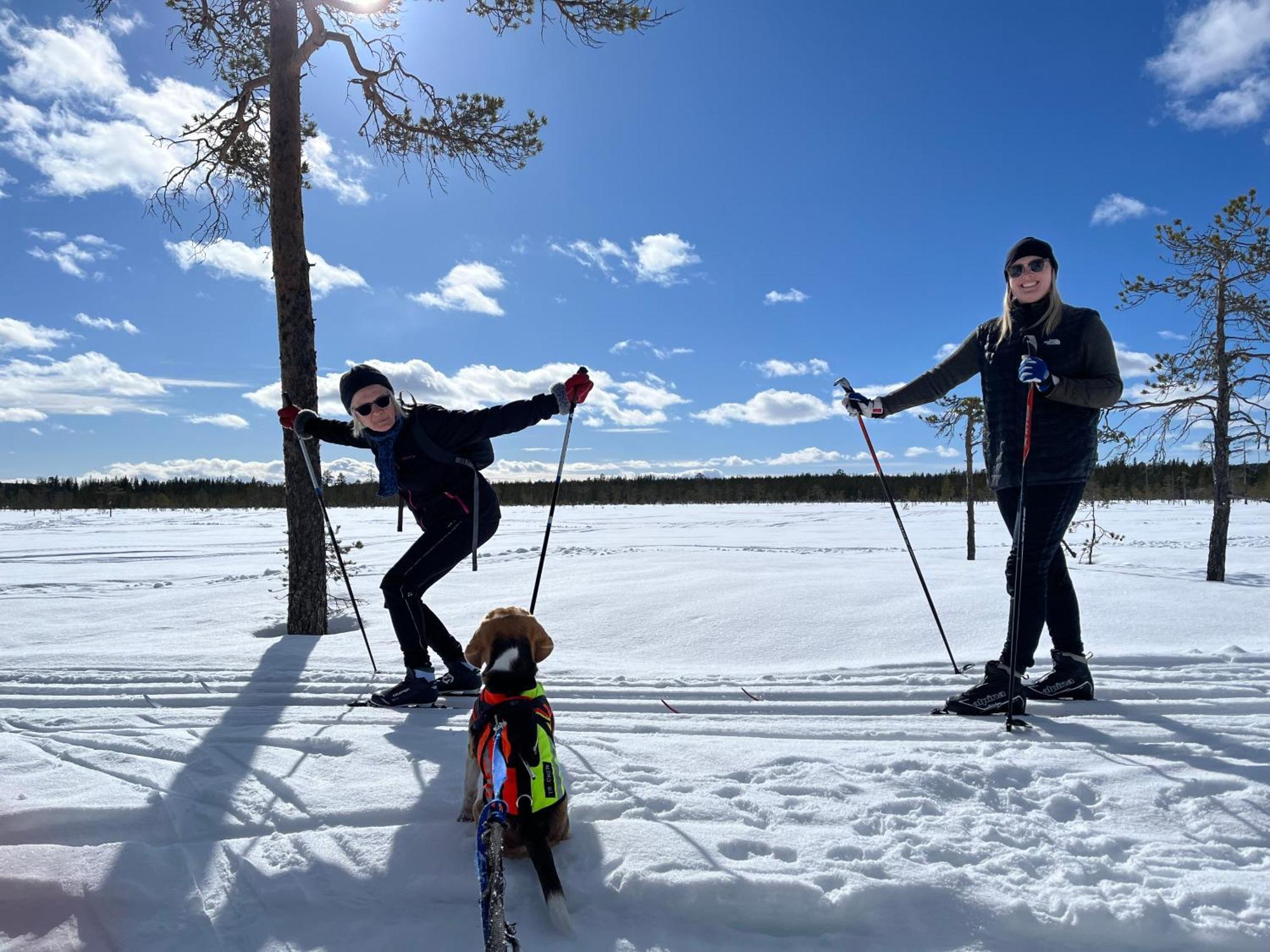 Knappgarden Särna Esterno foto