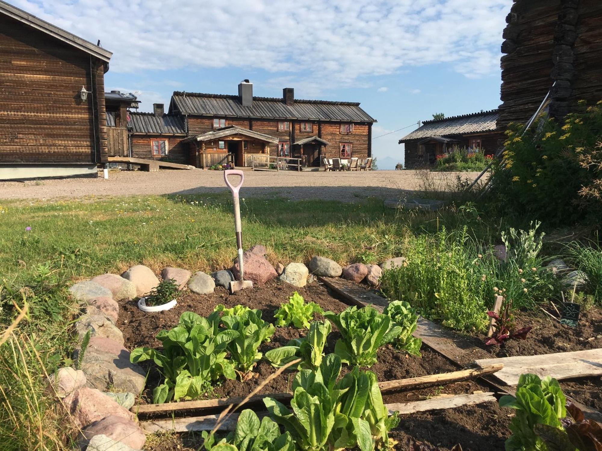 Knappgarden Särna Esterno foto