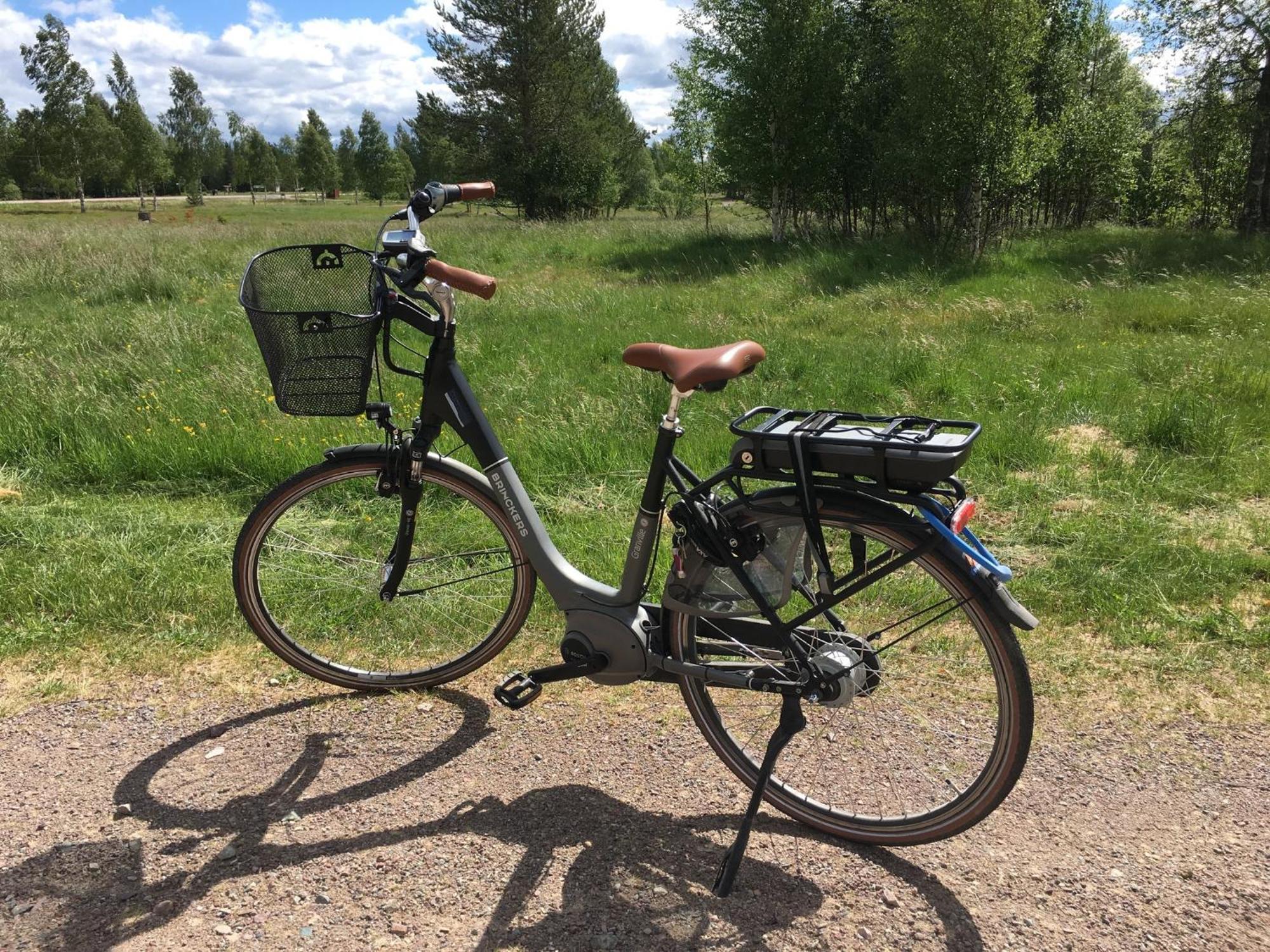 Knappgarden Särna Esterno foto