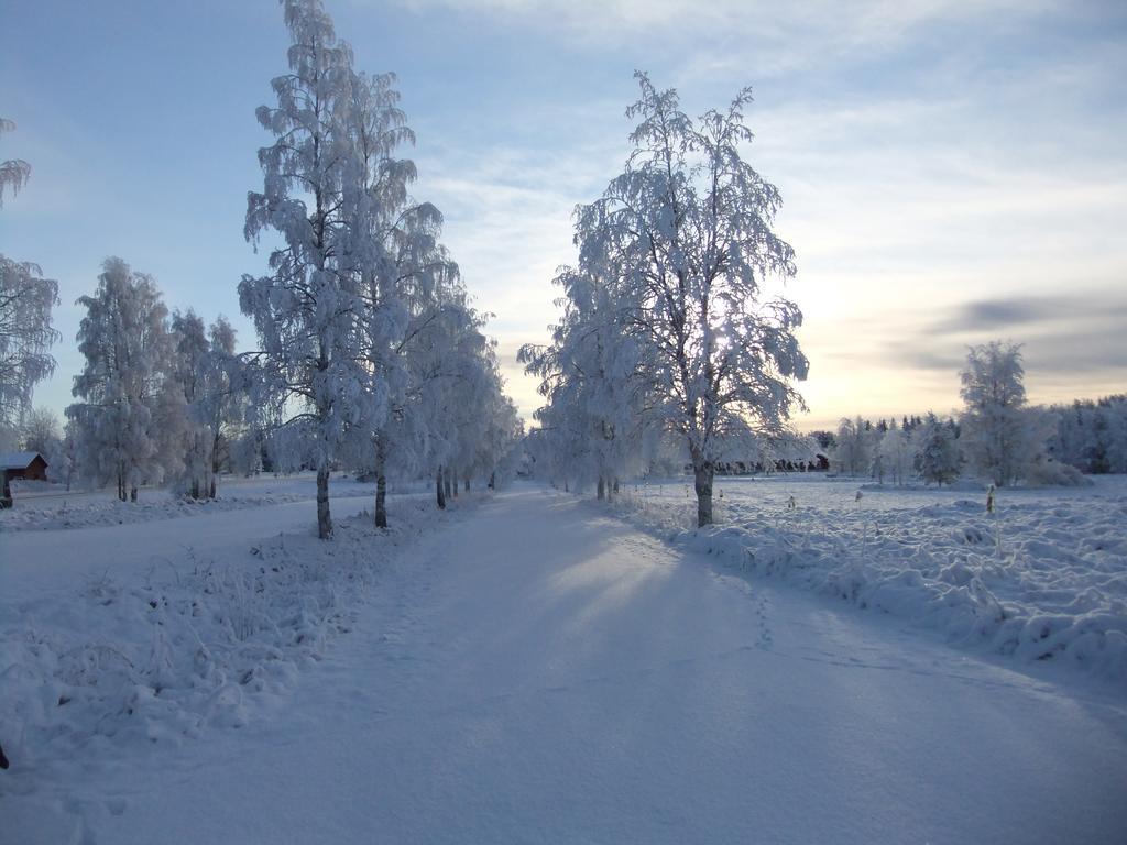 Knappgarden Särna Esterno foto