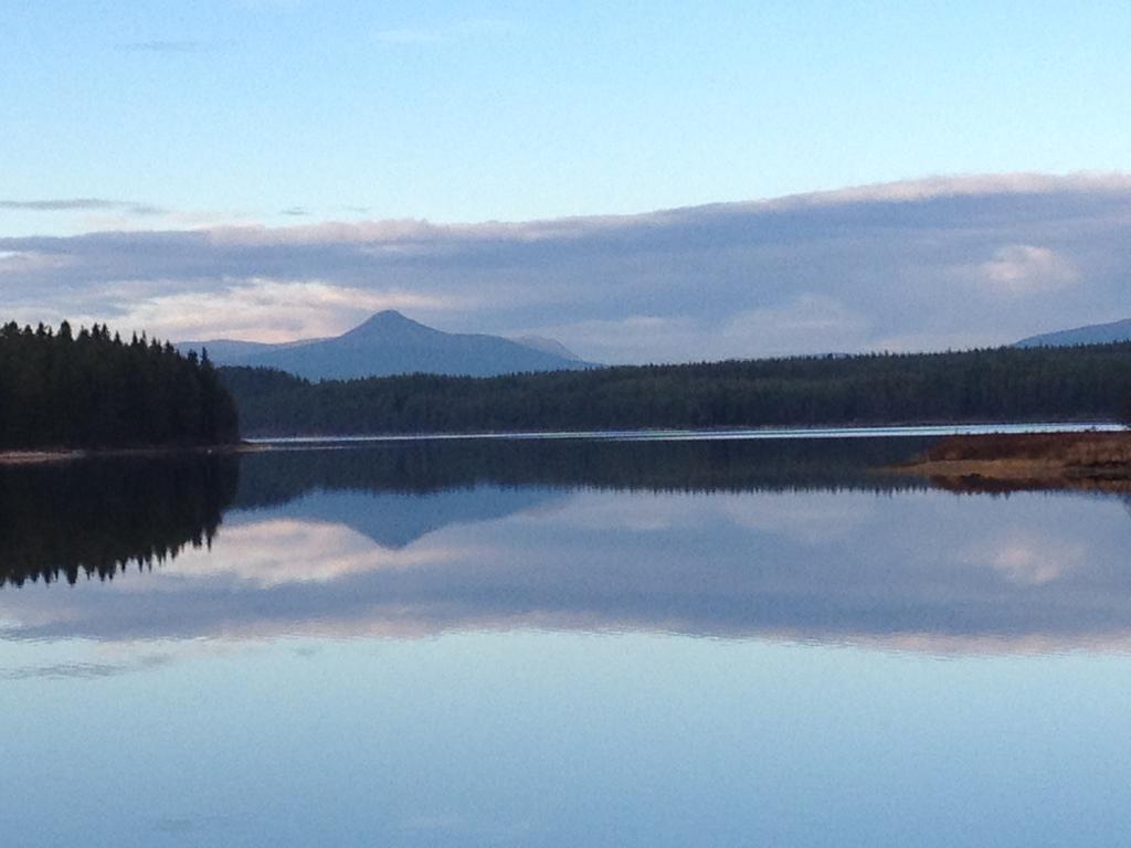 Knappgarden Särna Esterno foto